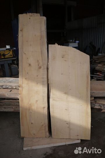 Кипарис слэб