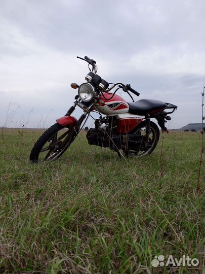 Alpha RX 125