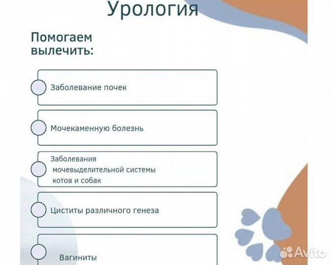 Ветеринарная помощь на дому