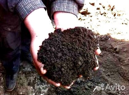 Чернозем торф доставка