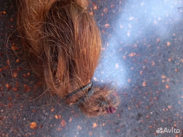 Коса шиньон из натуральных волос