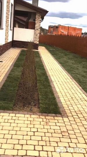 Рулонный газон