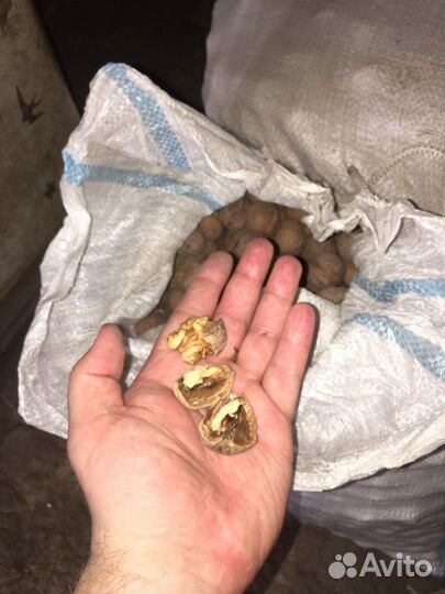 Грецкий орех