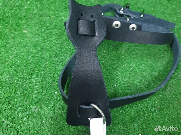 Шлейка для кошки