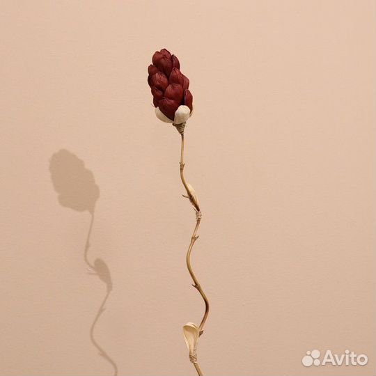 2 шт. Сухоцвет на бамбуковом стебле 150 см фиолето