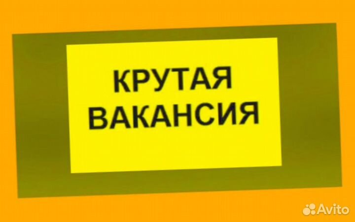 Разнорабочий Выплаты в срок /Без опыта /Хорошие ус