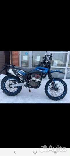 Регульмото спорт 003 про 2024