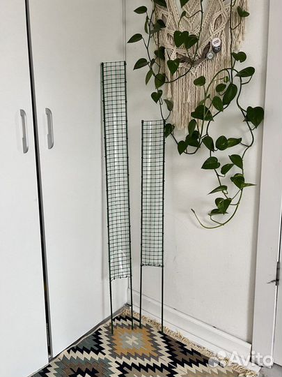 Тотемы для растений