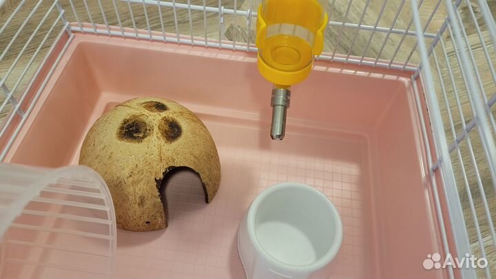 Клетка для грызунов Ferplast