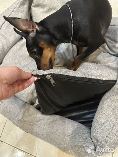 Лежанка для животных saival