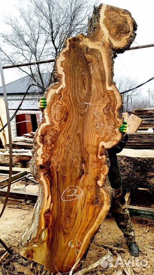 Слэбы и заготовки из азиатского капового карагача