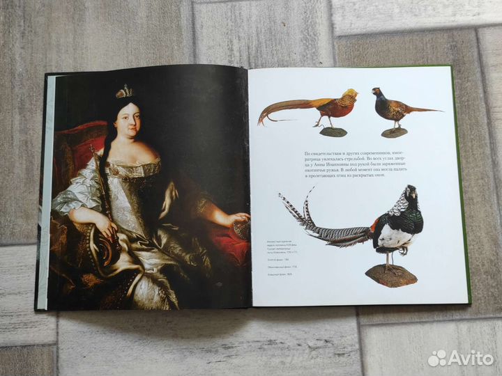 Царицы-охотницы книга