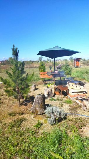 Участок 8 сот. (СНТ, ДНП)