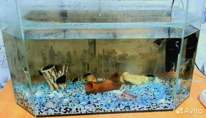 Аквариум 40л + фильтр 60л