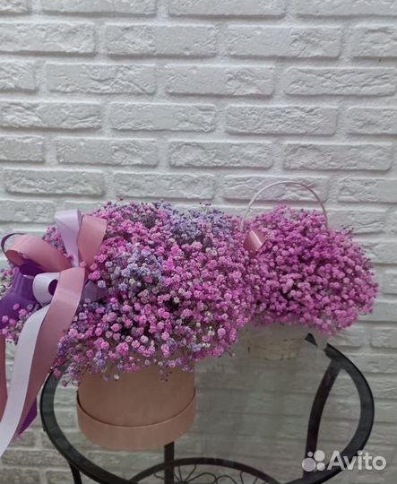 Гипсофила, Цветы, Розы, хризантемы, Доставка