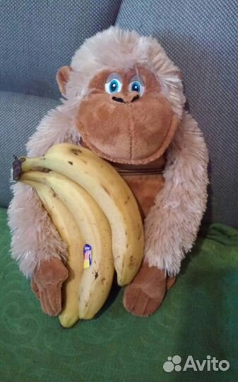 Обезьянка жаконя