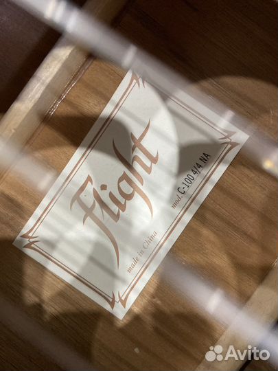 Гитара FLight C-100