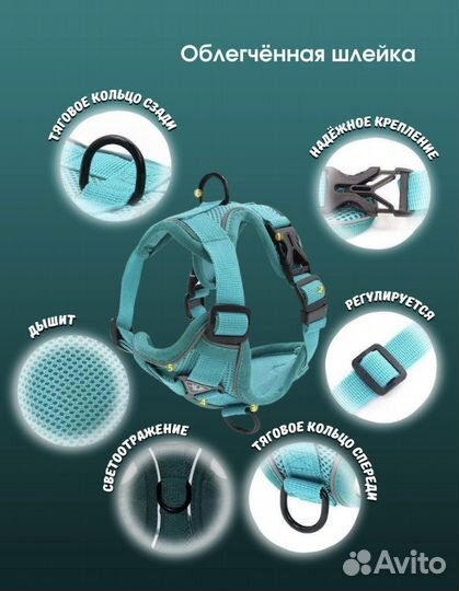 Шлейка для собак и кошек