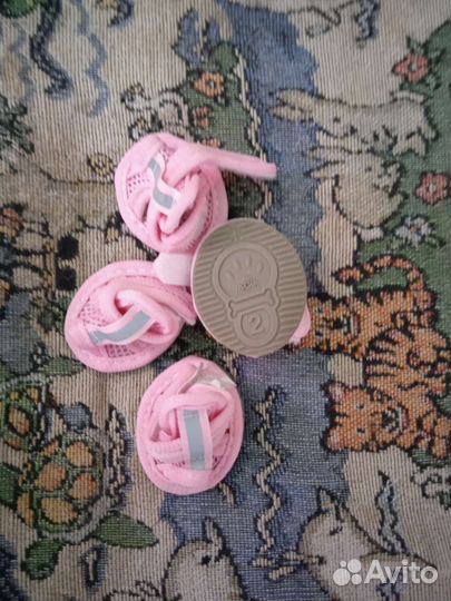 Вещи для маленькой собачки