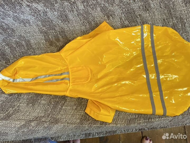 Одежда для маленьких собак