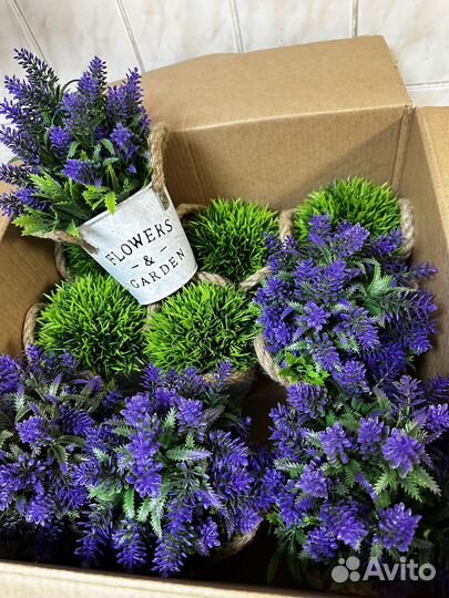 Цветы в металических горшках