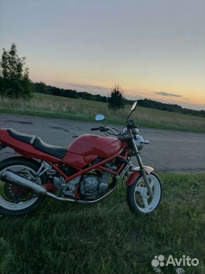 Suzuki bandit 250