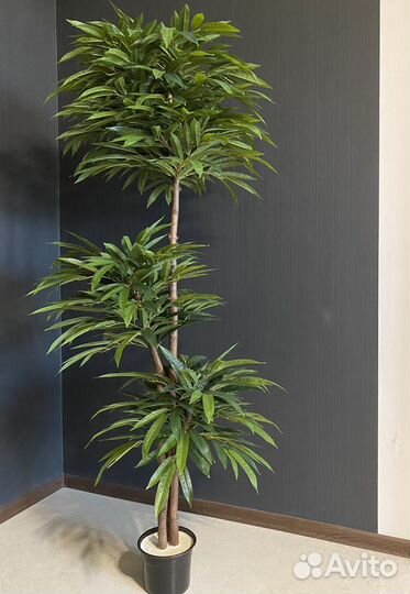 Искусственное дерево Манго