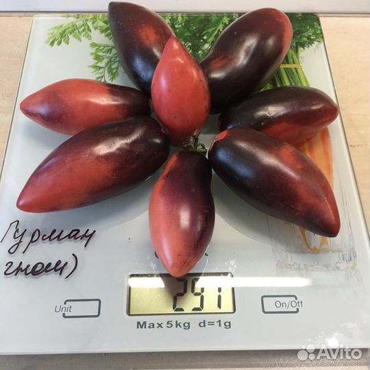 Семена томатов (Гномы)