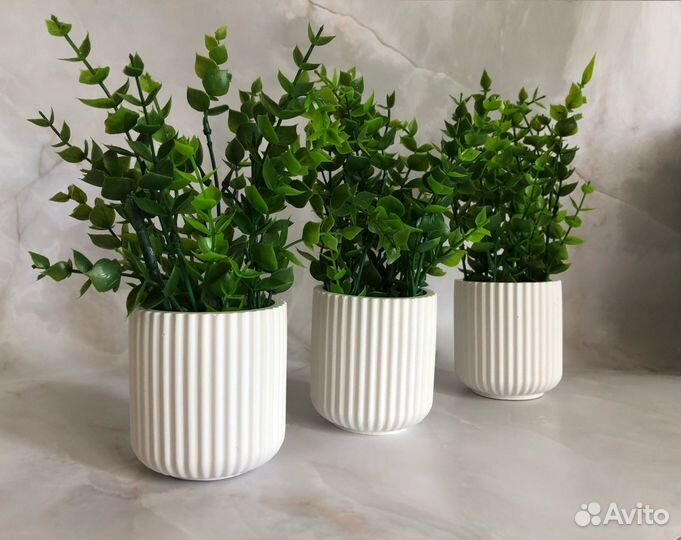 Кашпо с осокой/ягелем