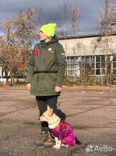 Специалист по поведению собак/кинолог