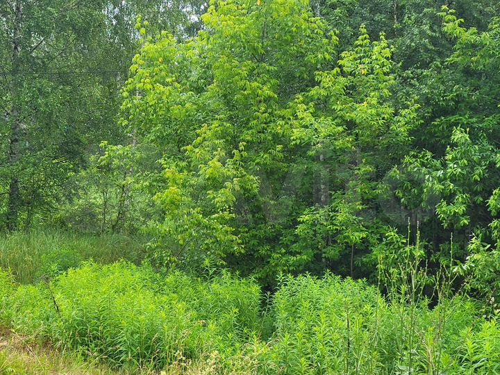 Участок 10 сот. (ИЖС)