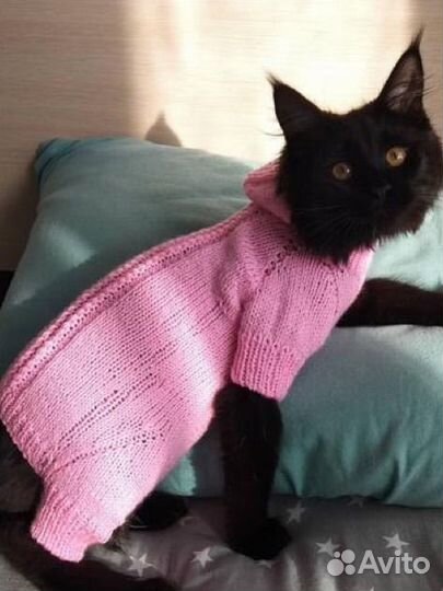 Продам комбез для животного