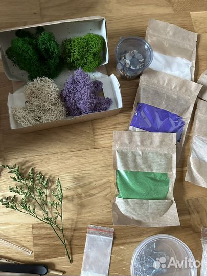 Набор для создания флорариума с суккулентами