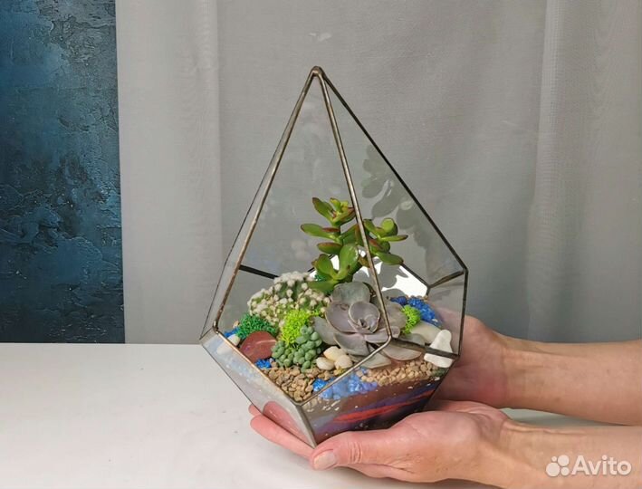 Флорариум капля S с суккулентами