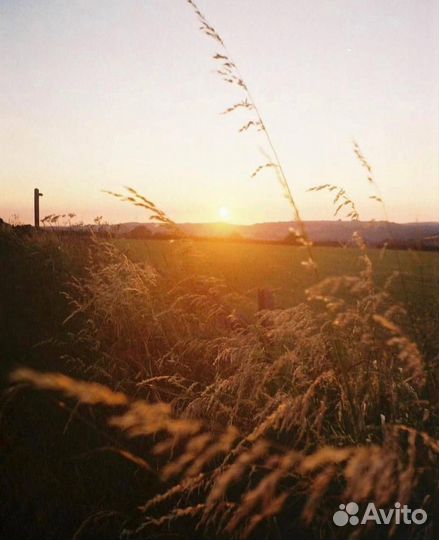 Пленочный фотоаппарат Olympus Trip AF 31