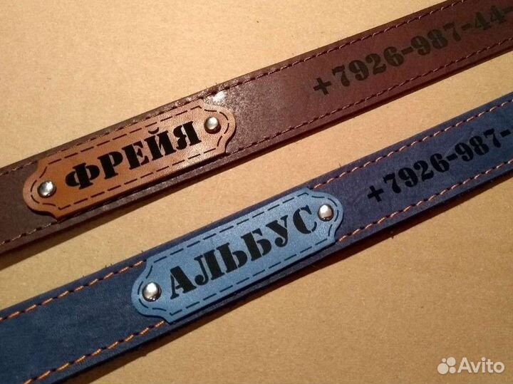 Адресные ошейники