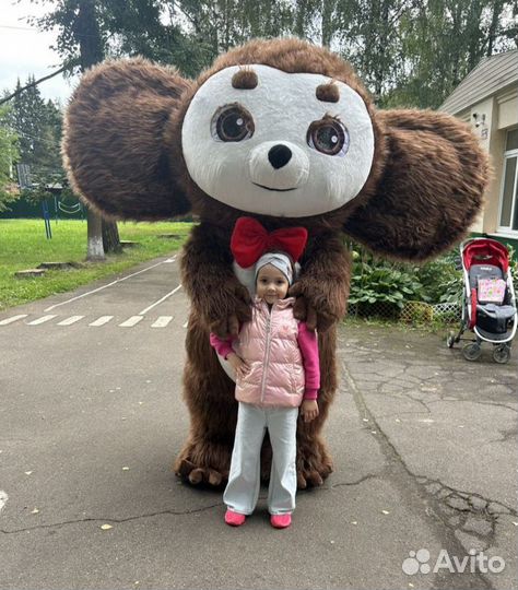 Белый мишка Стиляга, Чебурашка, Мишка из тик тока