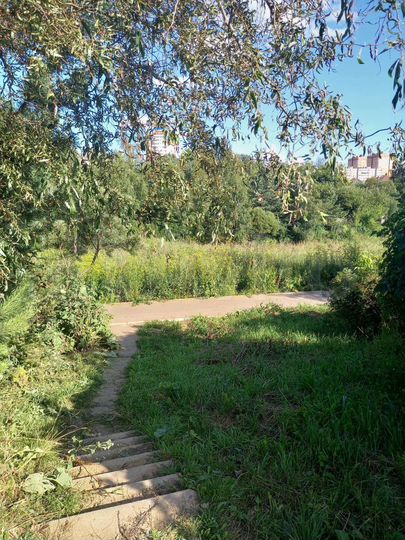 Участок 15 сот. (ИЖС)