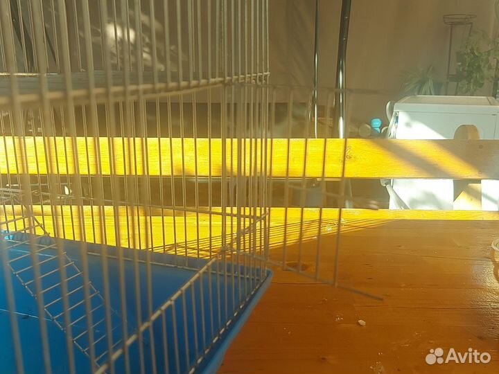 Клетка для грызунов