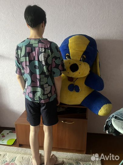 Собака