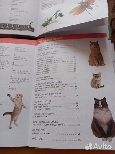 Энциклопедия для детского сада пакетом 2 книги