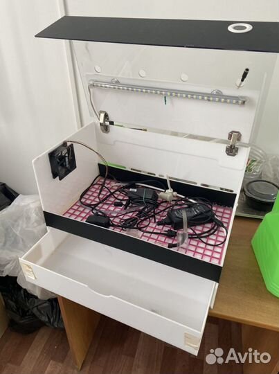 Миниферма микрозелени