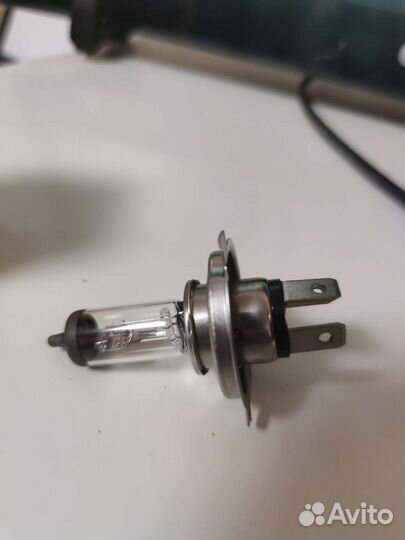 Автолампа галогеновая 24V