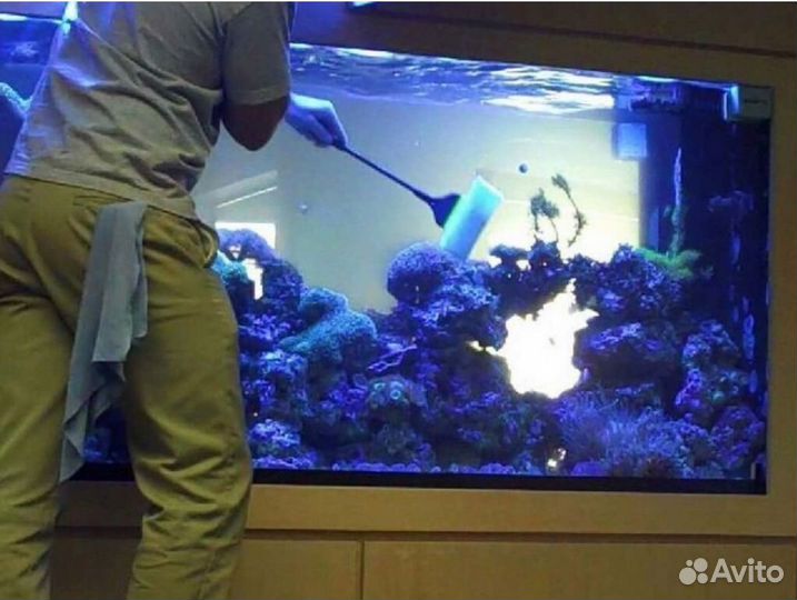 Чистка и обслуживание аквариумов