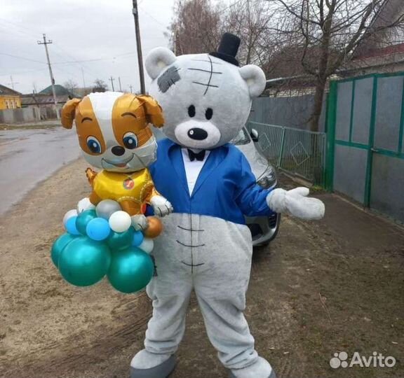 Аниматор Мишка тедди