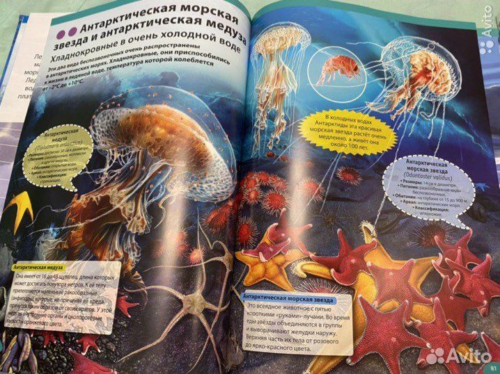 Книги детские энциклопеди