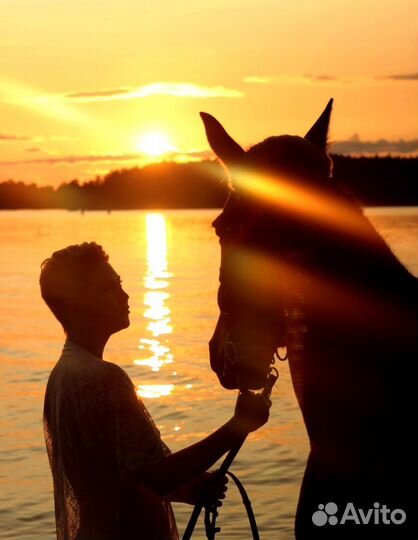 Фотосессия