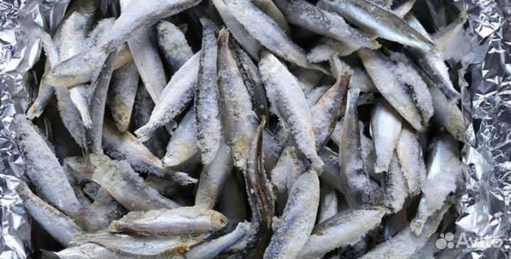 Рыба на корм животным и птицам