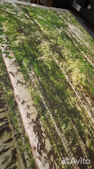 Фотообои #Роща