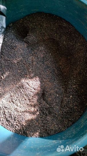 Продукты пчеловодства